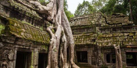 Top Stories Making Waves in Cambodia